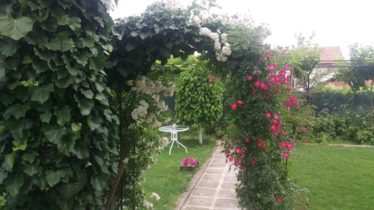Guest House Simona Sapareva Banya Ngoại thất bức ảnh